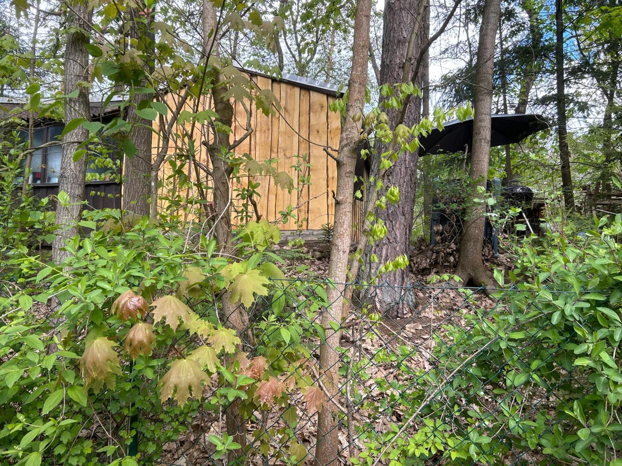 Bungalow Biberspur Zieko Dış mekan fotoğraf
